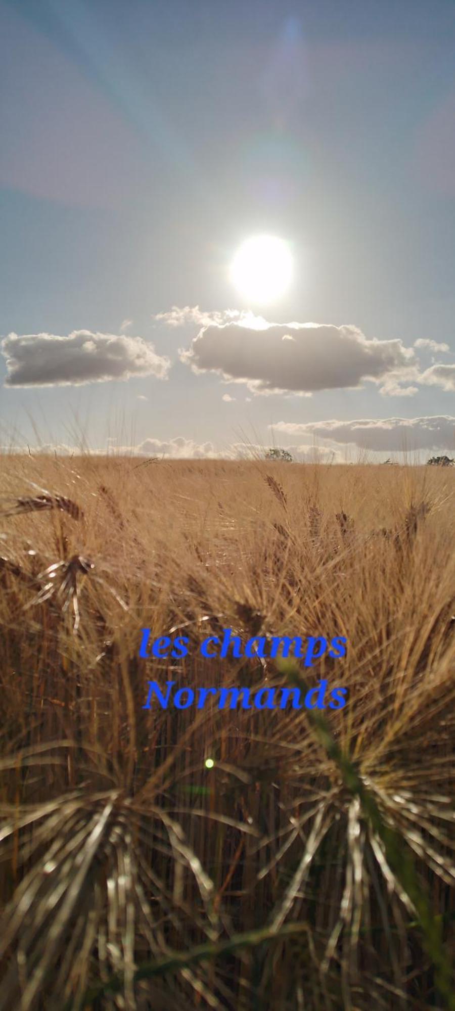 Maison A La Campagne Rots