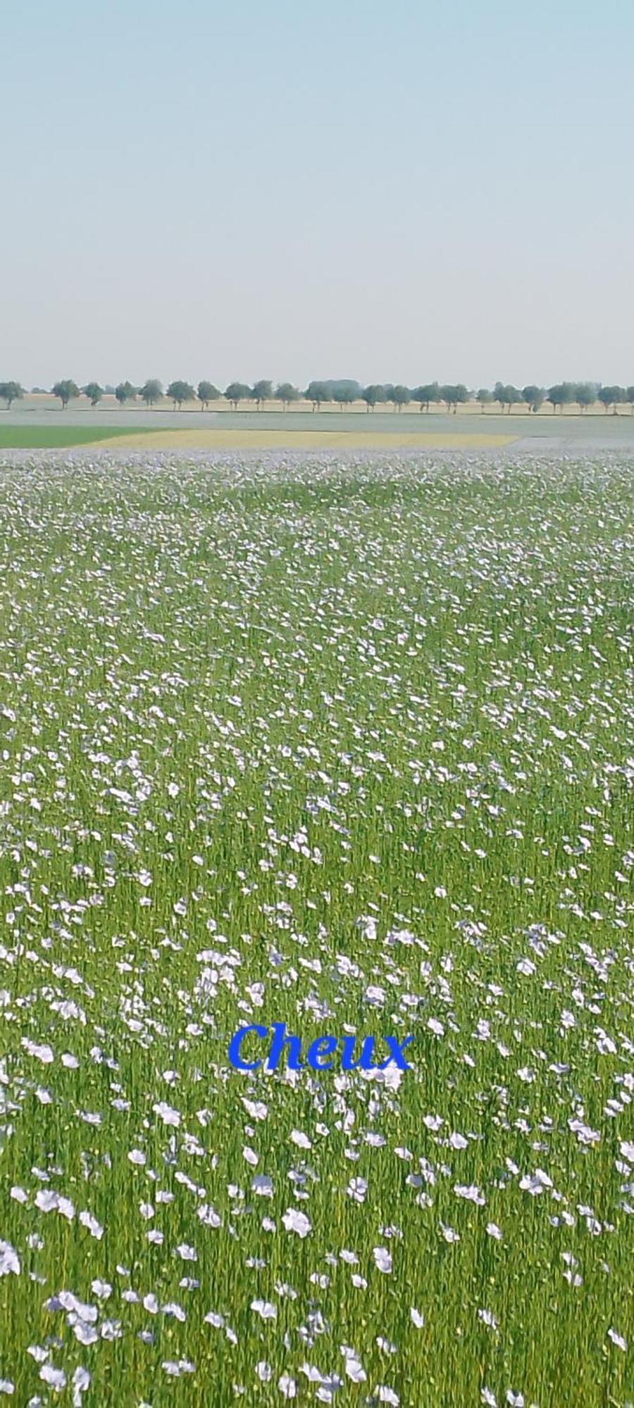 Maison A La Campagne * Rots